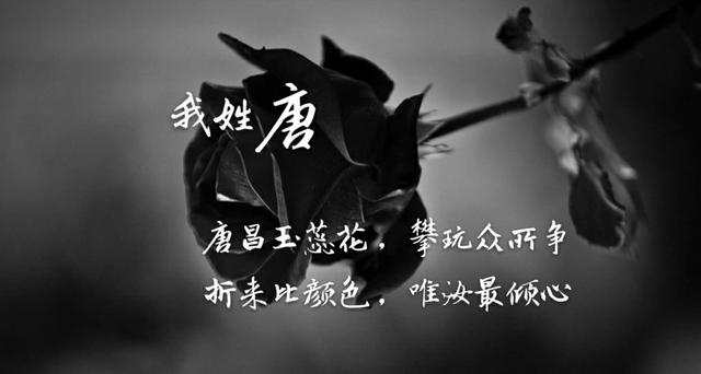 姓氏专属情话句子，姓氏的爱情句子（都有一句情话<暖心系大全>）