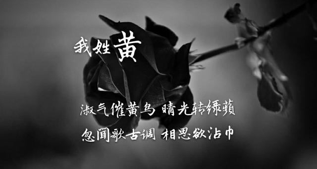 姓氏专属情话句子，姓氏的爱情句子（都有一句情话<暖心系大全>）