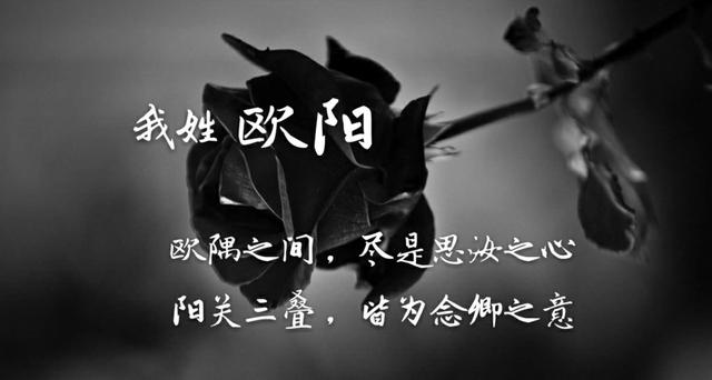 姓氏专属情话句子，姓氏的爱情句子（都有一句情话<暖心系大全>）