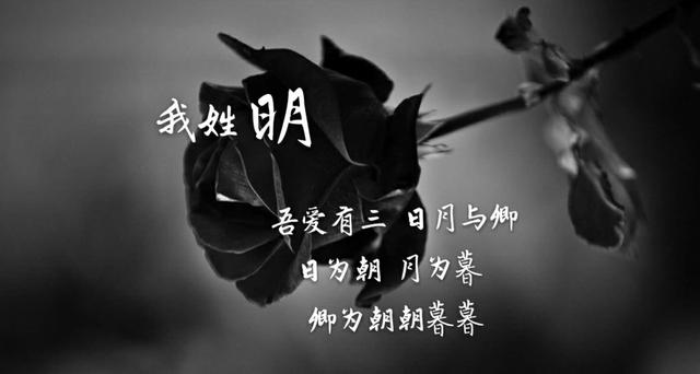 姓氏专属情话句子，姓氏的爱情句子（都有一句情话<暖心系大全>）