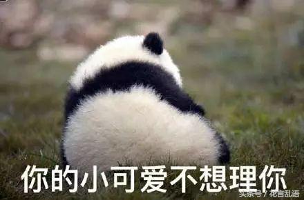 梦见熊猫是什么寓意，梦见熊猫是什么预兆周公解梦（这些大熊猫的假科普）