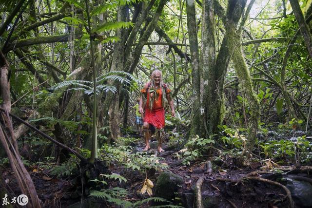 拉罗汤加岛，拉罗汤加岛 战场上的快乐圣诞（风景如画的拉罗汤加岛）