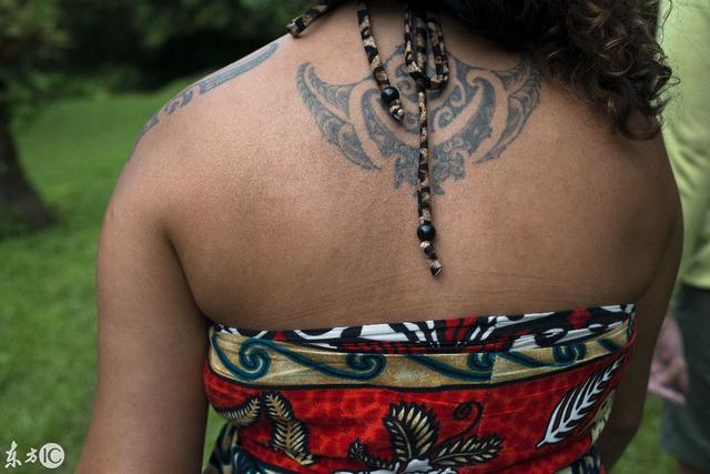 拉罗汤加岛，拉罗汤加岛 战场上的快乐圣诞（风景如画的拉罗汤加岛）