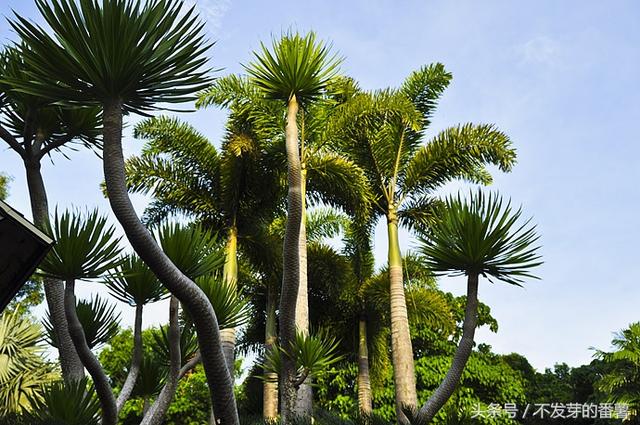 长滩岛在哪里，长滩岛在哪里 菲律宾是哪国家（远离尘嚣的天堂近在咫尺）