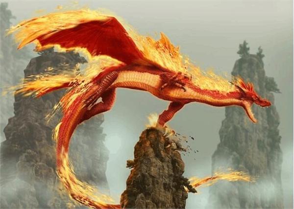 龙一共有几种呢，龙一共有几种呢称的拼音（中国人心目中的龙完全颠覆了我们的认知）