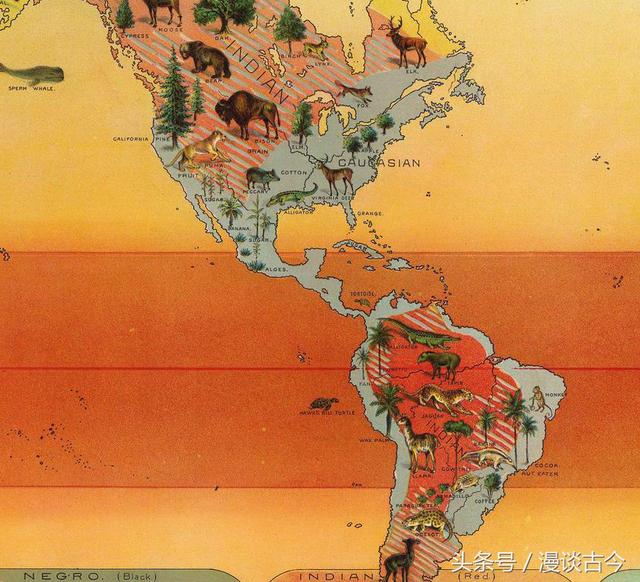 最科学的人种划分方法,最科学的人种划分方法是什么(一张老地图带你看懂1893年的权威人种划分) 最科学的人种划分方法,最科学的人种划分方法是什么(一张老地图带你看懂1893年的权威人种划分)
