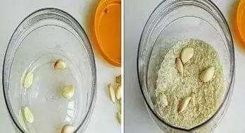 面粉长虫怎么办，面粉已经长虫了怎么办（把厨房里几种调料扔进去）