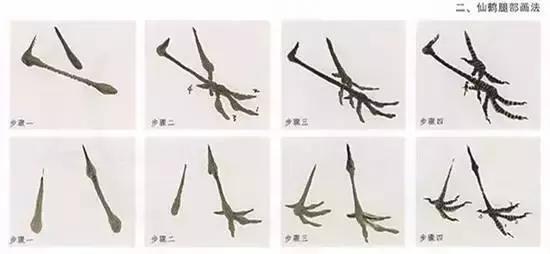 丹顶鹤简笔画,丹顶鹤简笔画简单又漂亮(<学仙鹤的绝佳素材) 丹顶鹤简笔画,丹顶鹤简笔画简单又漂亮(<学仙鹤的绝佳素材)