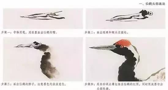 丹顶鹤简笔画,丹顶鹤简笔画简单又漂亮(<学仙鹤的绝佳素材) 丹顶鹤简笔画,丹顶鹤简笔画简单又漂亮(<学仙鹤的绝佳素材)