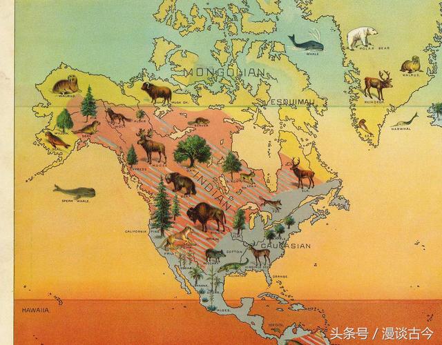 最科学的人种划分方法,最科学的人种划分方法是什么(一张老地图带你看懂1893年的权威人种划分) 最科学的人种划分方法,最科学的人种划分方法是什么(一张老地图带你看懂1893年的权威人种划分)