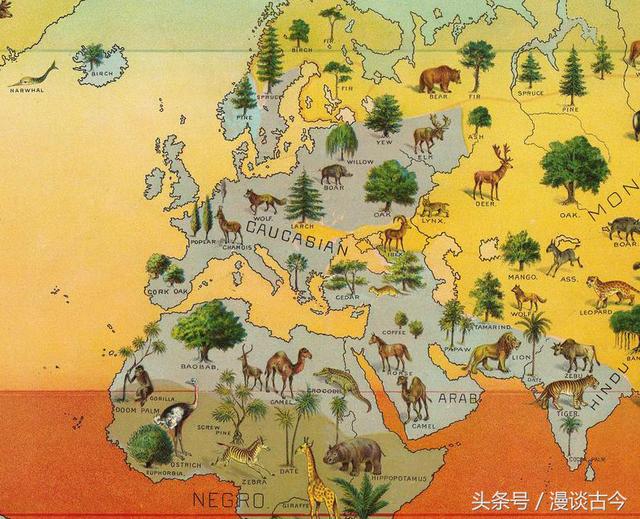 最科学的人种划分方法,最科学的人种划分方法是什么(一张老地图带你看懂1893年的权威人种划分) 最科学的人种划分方法,最科学的人种划分方法是什么(一张老地图带你看懂1893年的权威人种划分)