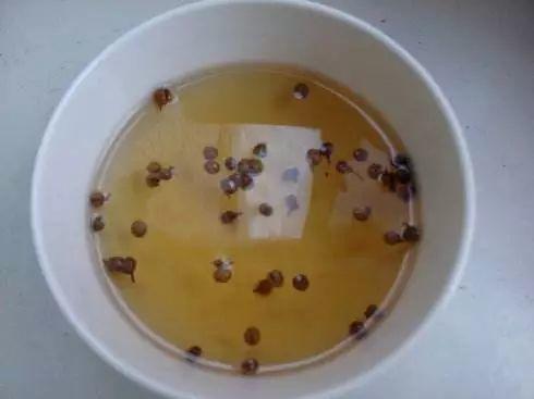 面粉长虫怎么办，面粉已经长虫了怎么办（把厨房里几种调料扔进去）