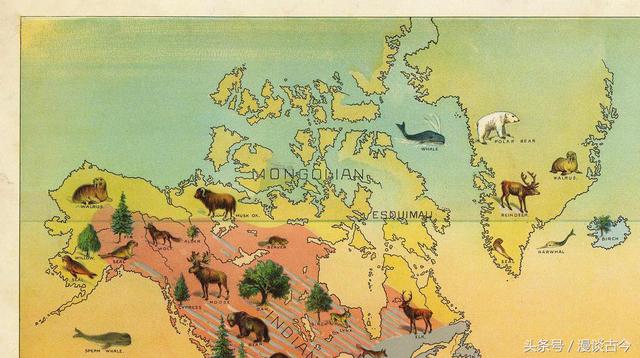 最科学的人种划分方法,最科学的人种划分方法是什么(一张老地图带你看懂1893年的权威人种划分) 最科学的人种划分方法,最科学的人种划分方法是什么(一张老地图带你看懂1893年的权威人种划分)