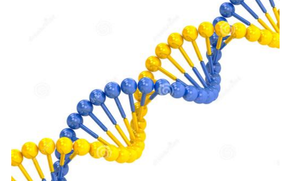 脱氧核糖核酸化学式，脱氧核糖核酸的化学式是什么（不要像外太空发射关于地球的信息）