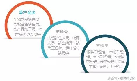 动物药学属于什么类专业，动物药学属于药学类吗（这个专业和想象中不一样）