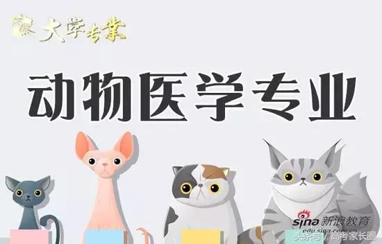 动物药学属于什么类专业，动物药学属于药学类吗（这个专业和想象中不一样）