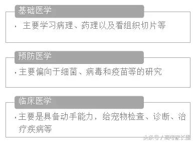 动物药学属于什么类专业，动物药学属于药学类吗（这个专业和想象中不一样）