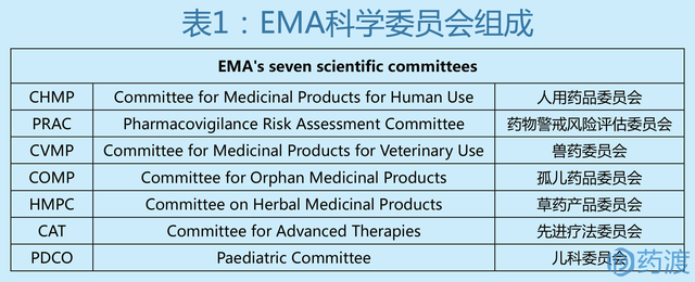 gcp是什么意思，GCP是什么意思（简述：欧洲药品管理局EMA）