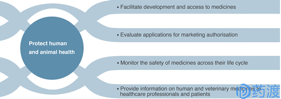gcp是什么意思，GCP是什么意思（简述：欧洲药品管理局EMA）
