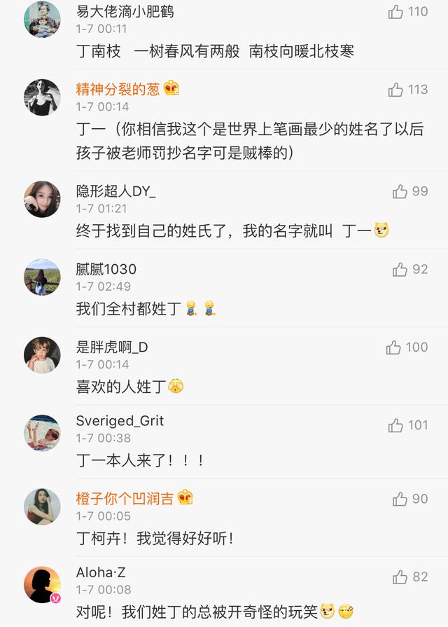 好听的丁姓女孩名字大全，姓丁的还有这些好听的名字