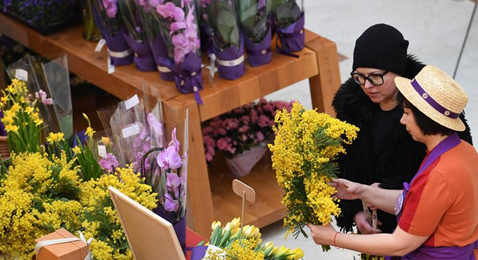 三八节祝酒词，三八节祝酒词 同事（你不知道的10件事）