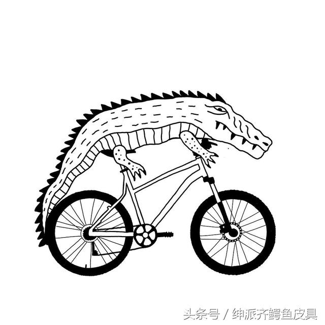 凯门鳄的特点，凯门鳄百度百科（被歧视的稀有皮之凯门鳄）