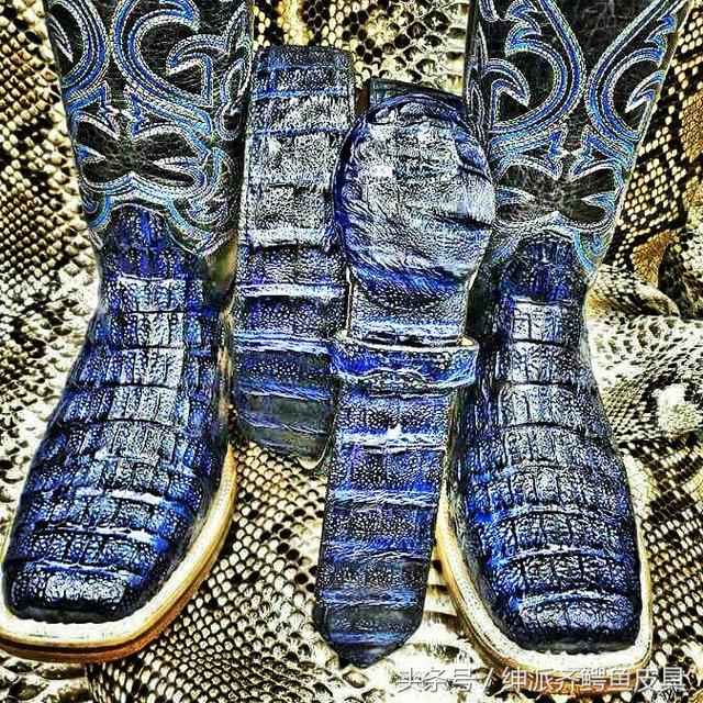 凯门鳄的特点，凯门鳄百度百科（被歧视的稀有皮之凯门鳄）