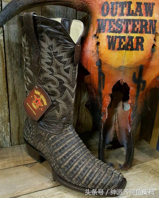 凯门鳄的特点，凯门鳄百度百科（被歧视的稀有皮之凯门鳄）