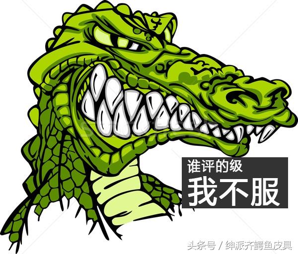 凯门鳄的特点，凯门鳄百度百科（被歧视的稀有皮之凯门鳄）