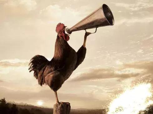 关于两参人员800元补贴，今年两参人员补助长多少钱（另外国家发话，关系你的后半生）