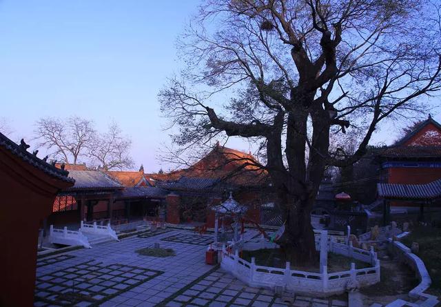 关于两参人员800元补贴，今年两参人员补助长多少钱（另外国家发话，关系你的后半生）