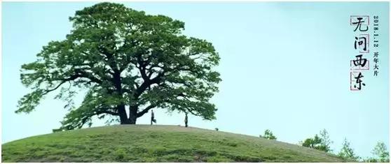 无问西东剧情介绍，无问西东剧情介绍电视猫（《无问西东》到底讲的什么东西）