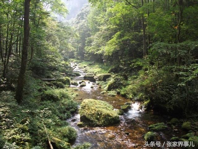 张家界旅游路线，张家界旅游自驾游详细攻略路线（超详细的张家界旅游路线和时间怎么安排）