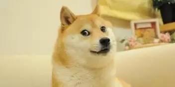 潘玮柏 金钟奖，吴曦老婆（潘玮柏的“野蛮生长”）