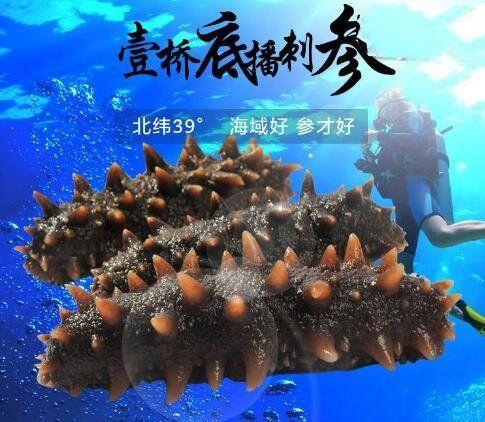 哪里的海参最好，哪里产的海参好（国内10大最知名的海参品牌）
