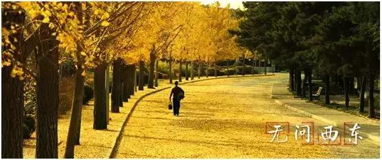 无问西东剧情介绍，无问西东剧情介绍电视猫（《无问西东》到底讲的什么东西）