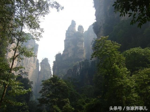 张家界旅游路线，张家界旅游自驾游详细攻略路线（超详细的张家界旅游路线和时间怎么安排）