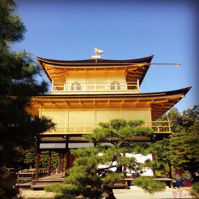 金阁寺的历史，金阁寺的历史由来（黄金包裹的寺院，一休哥的金阁）