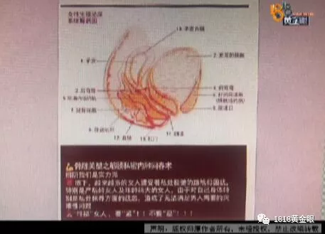 秘密授课100分可以一天，合作协议书（女子花8300报名上“女性私密课”）