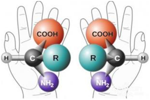 佐什么意思解释，佐字笔画笔顺（药物冷知识速速get）