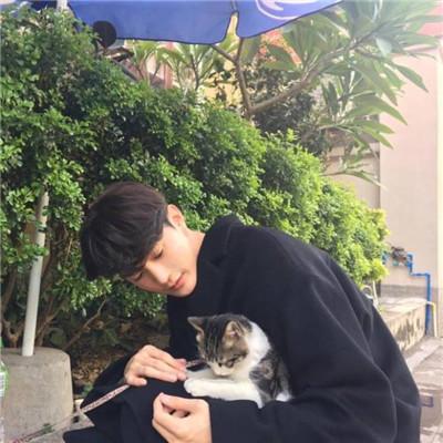 用猫做头像的男生，带猫咪的男生头像微信（男生抱猫头像高清图片2018）