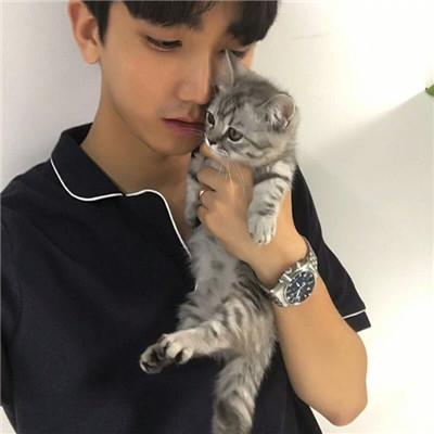 用猫做头像的男生，带猫咪的男生头像微信（男生抱猫头像高清图片2018）