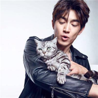 用猫做头像的男生，带猫咪的男生头像微信（男生抱猫头像高清图片2018）