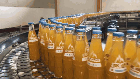 西安礼品土特产有哪些，过年最适合带回家的西安特产