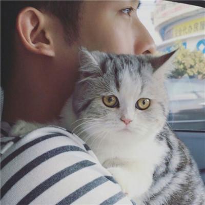 用猫做头像的男生，带猫咪的男生头像微信（男生抱猫头像高清图片2018）