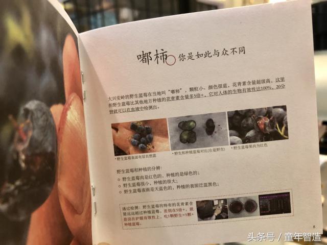 沙棘膏的功效与作用，蜜制沙棘膏的功效与作用（4斤原料熬1斤）