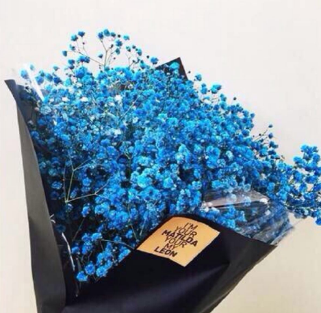 朋友送什么花合适，送朋友什么花代表友谊（送这些花比送什么礼品都被说懂礼仪）