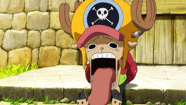 乔巴萌萌哒，微信头像，乔巴萌萌哒（超全海贼王乔巴壁纸头像——笨蛋）