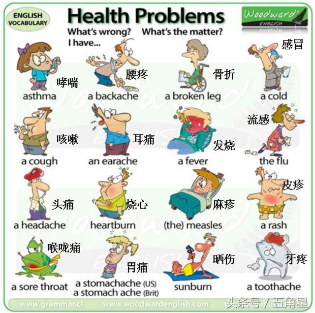 英语单词卡片制作图片，英语单词卡片制作方法（30张英语单词卡片有多实用）