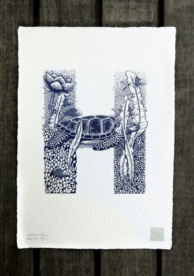 自创英文字母手绘方式，自创英文字母手绘方式图片（一组创意英文字母手绘插画）